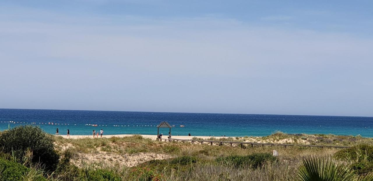 Aticos Primera Linea En Zahara De Los Atunes Dış mekan fotoğraf