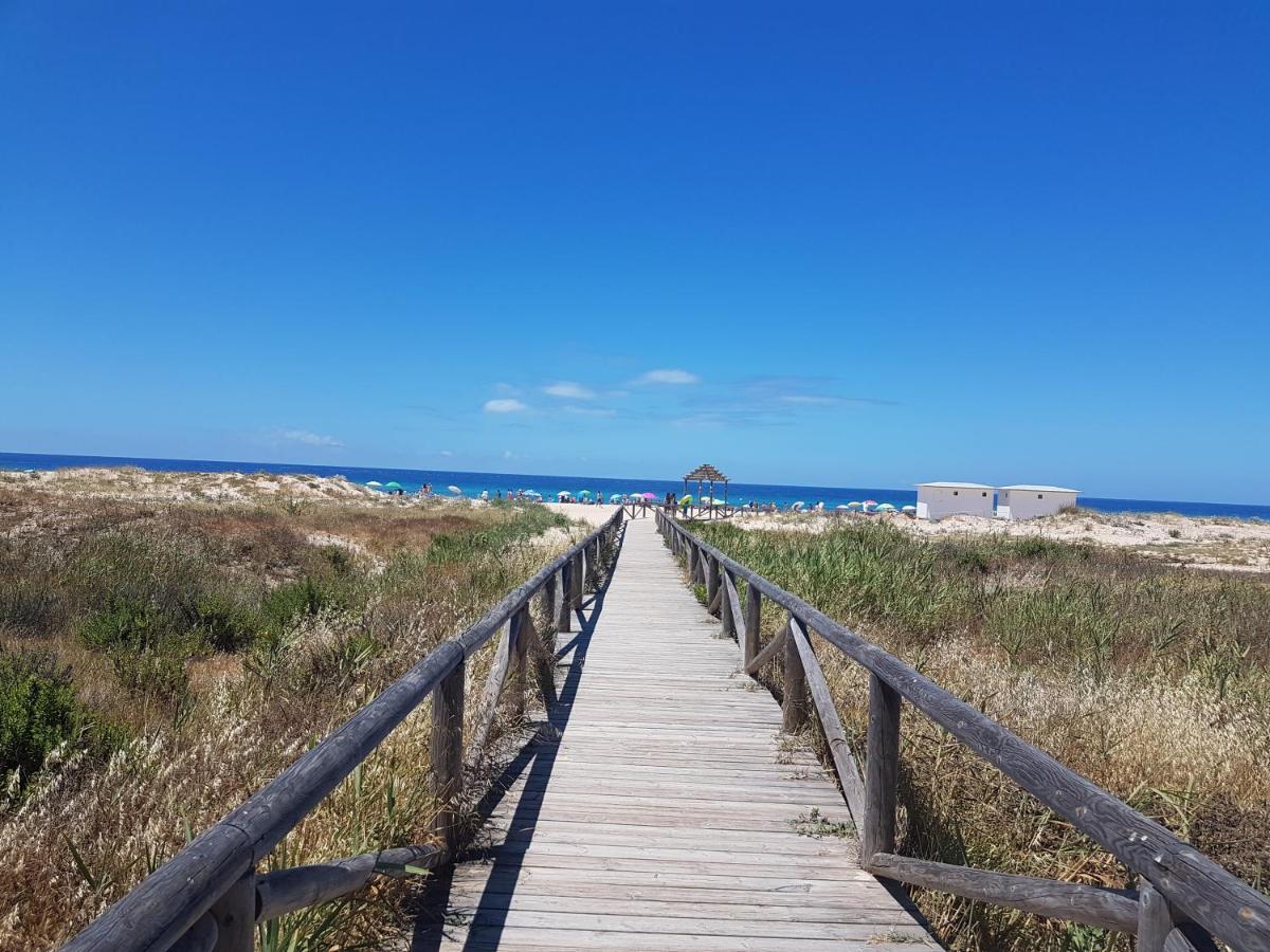 Aticos Primera Linea En Zahara De Los Atunes Dış mekan fotoğraf